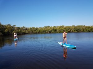 Two people using a stand up paddleboard