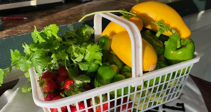 Assorted fruits inside a basket