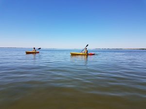 Two people kayaking on the sea