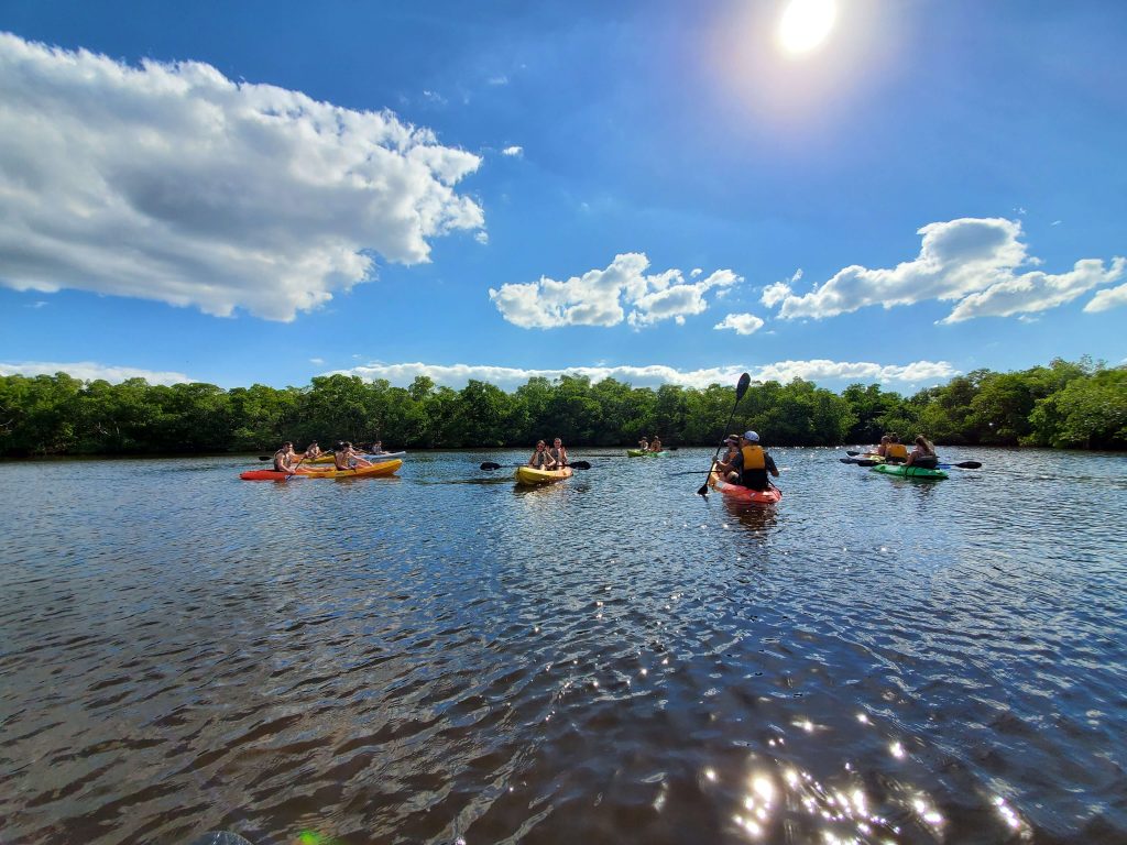 People kayaking on a lake