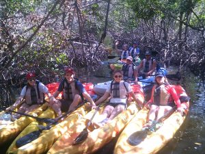 Tourists kayaking on a mangrove trail