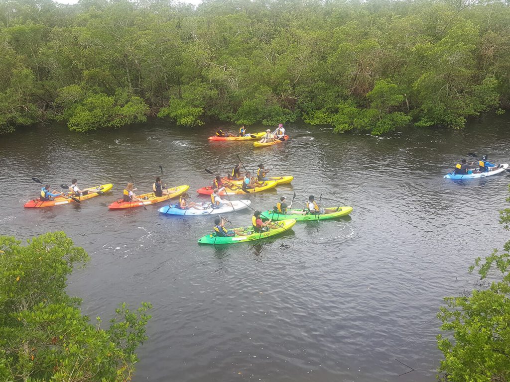 Kayak Excursions - People Kayaking - Kayak Excursions